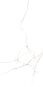 Atlantic White