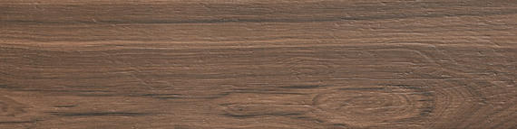 Knoxwood Nutmeg Plank 6X24 Matte