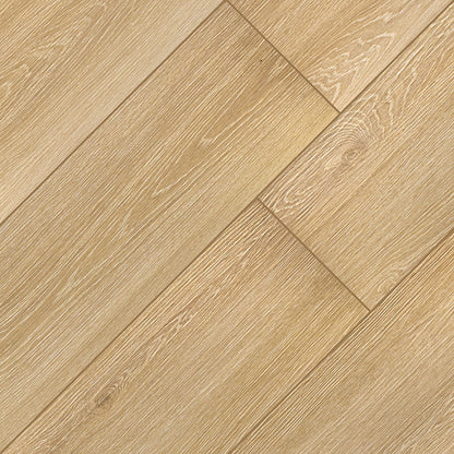 XL Prescott® Valleyview Grove