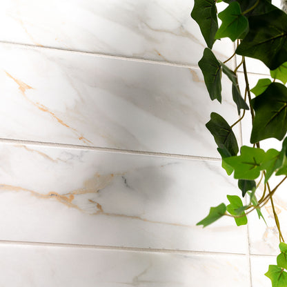 Calacatta Gold Matte Subway Tile