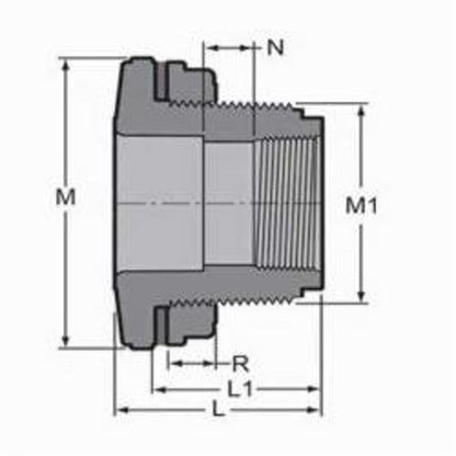 Tank Adapter, 1-1/4 in, Socket x FNPT, SCH 80/XH, PVC