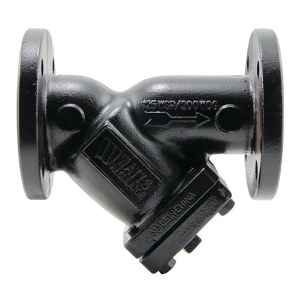 77F Strainer, 8 in, Flange, Cast Iron