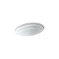 Serif® Under Mount Lavatory Sink, ADA, 20-5/8 x 15-1/4 x 8-7/16 in, Cast Iron, White