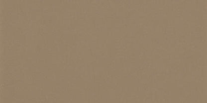 Color Wheel Classic Elemental Tan Square 4X4 Glossy