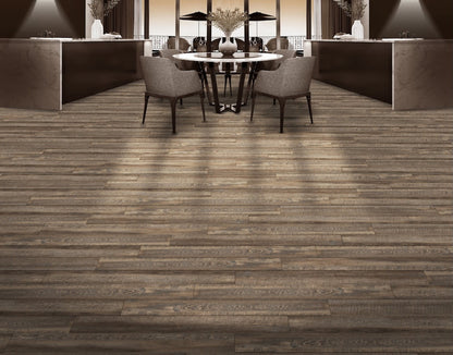 American Elm