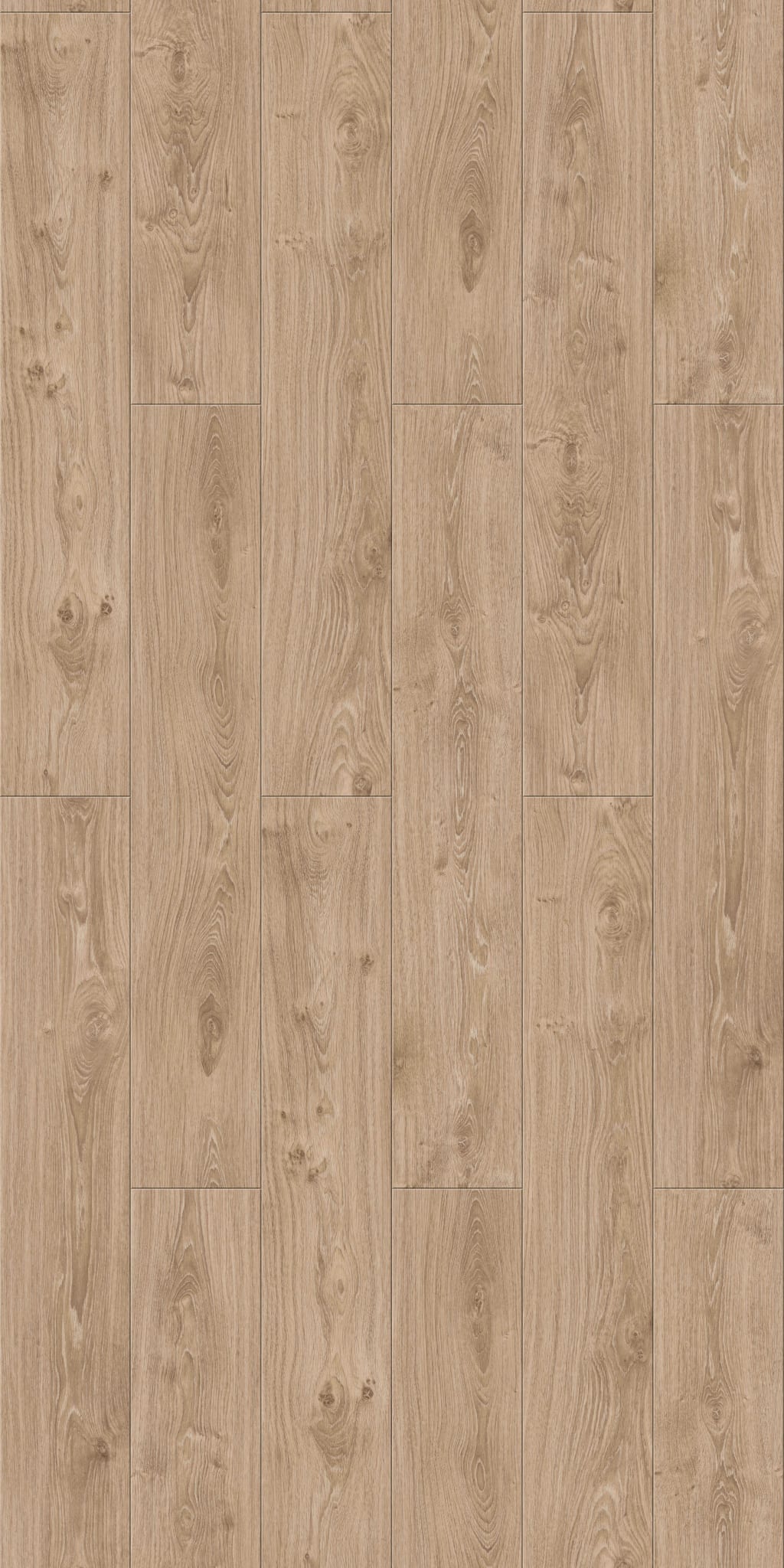 Golden Oak