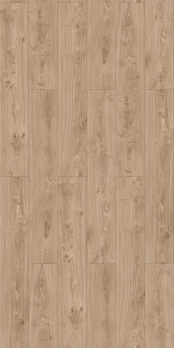 Golden Oak
