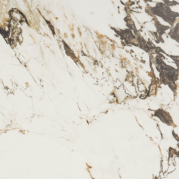 Panoramic Duet Calacatta Aries Square 48X48 Matte