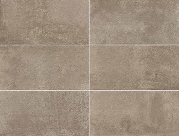 Emergent Pewter Rectangle 24X48 Polished