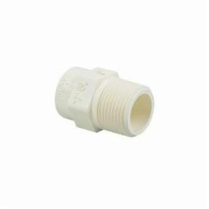 Male Adapter, 1 in, Socket x MNPT, SCH 40/STD, CPVC