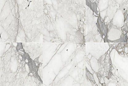 Marble Venetian Calacatta Rectangle 12X24 Honed