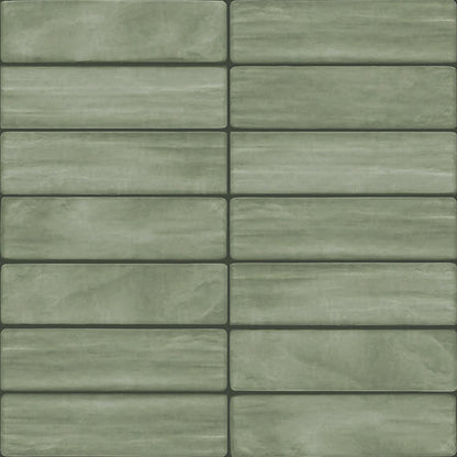 Artcrafted Aloe Rectangle, Handcrafted 3X12 Glossy