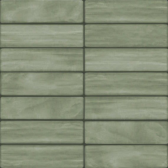 Artcrafted Aloe Rectangle, Handcrafted 3X12 Glossy