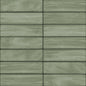 Artcrafted Aloe Rectangle, Handcrafted 3X12 Glossy