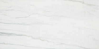 Platinum Oyster Rectangle 12X24 Matte
