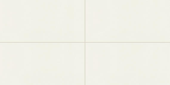 Pure Frost White Rectangle 12X24 Polished