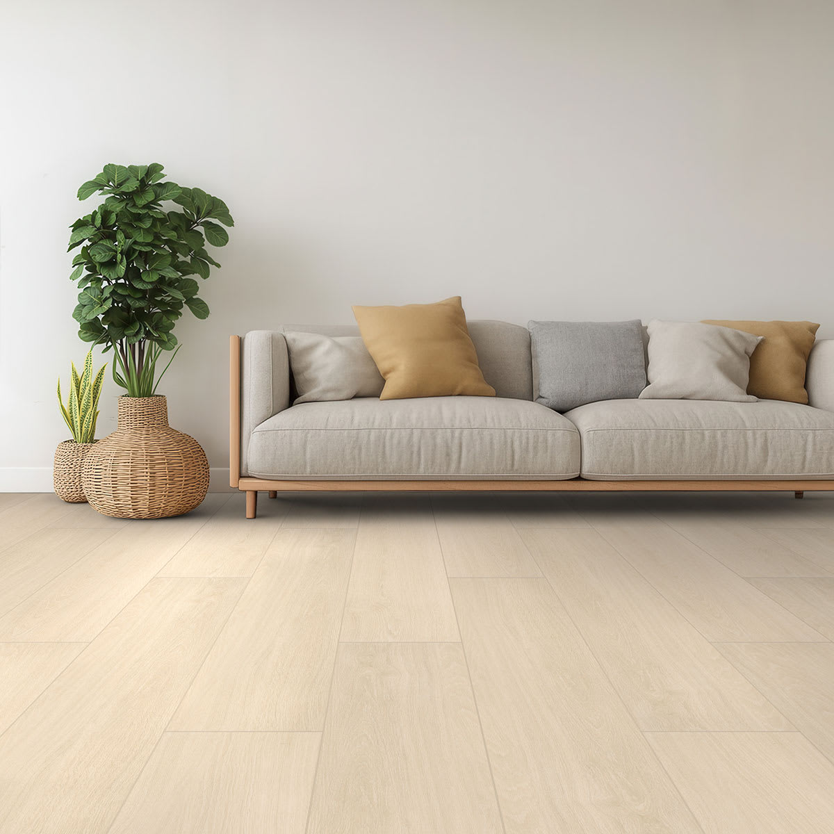 Placero Maple