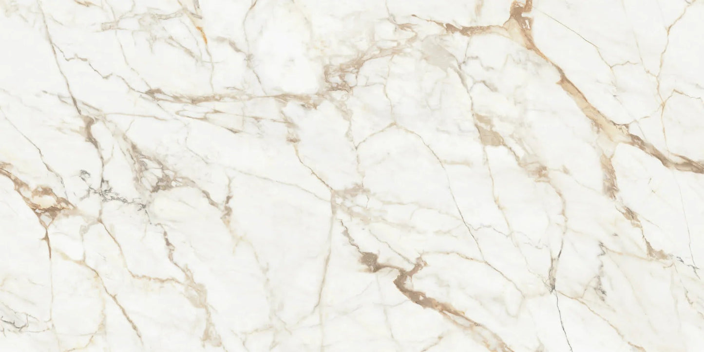 Calacatta Gold Pol
