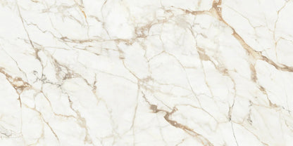 Calacatta Gold Pol