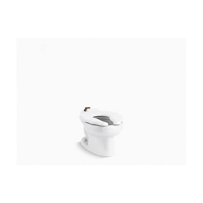 Primary™ Toilet Bowl, Floor Mount, 10 or 12 in Rough, ADA, Elongated, Flushometer, White