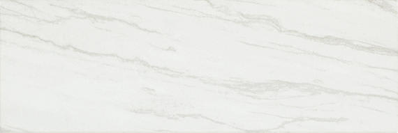 Platinum Oyster Rectangle 12X24 Matte