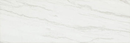 Platinum Oyster Rectangle 12X24 Matte
