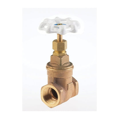 Ultra Pure™ Non-Rising Stem Gate Valve, 1 in, FNPT, Bronze