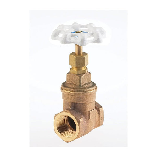 Ultra Pure™ Non-Rising Stem Gate Valve, 2 in, FNPT, Bronze