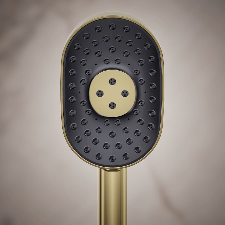 Statement 2.5 GPM Multi Function Hand Shower with MasterClean Sprayface