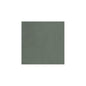 PIGMENTS FOREST (Make to order)