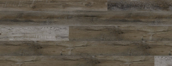 European Ash