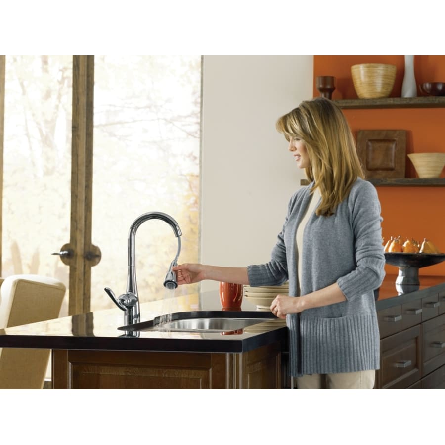 Arbor Single Handle Pulldown Spray Kitchen Faucet with Reflex Technology