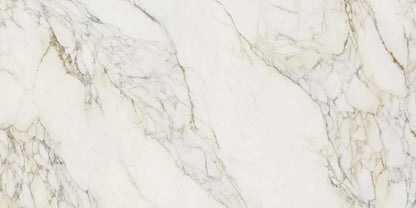 Calacatta Antico Polished