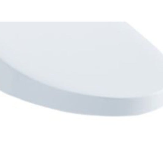 Washlet®+ Ready Toilet Seat, Elongated Bowl, Closed Front, With Cover, Plastic, White