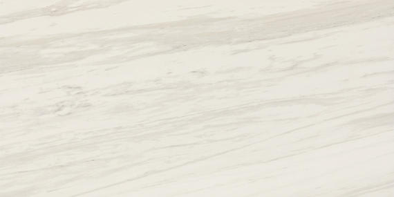 Perpetuo Timeless White Rectangle 12X24 Matte