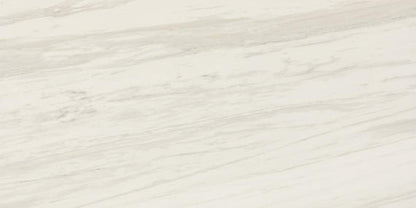 Perpetuo Timeless White Rectangle 12X24 Matte