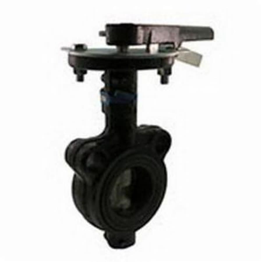 Wafer Style Butterfly Valve, Lever Handle, 3 in, Flange, Ductile Iron