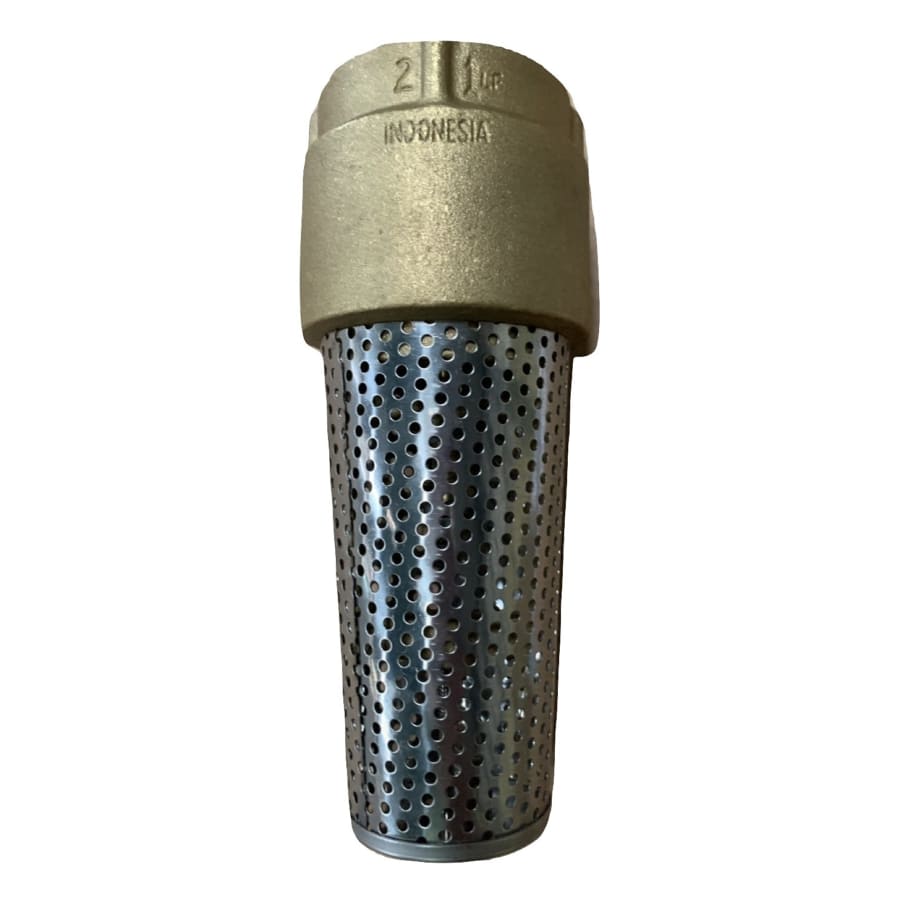 2" Brass Foot Valve with Stainless Steel Filter