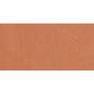 CLAYTONE CORAL R11 12X24