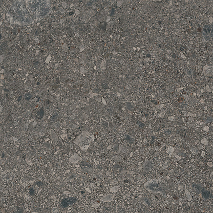 Assemble Emissary Rectangle 30X60 Matte
