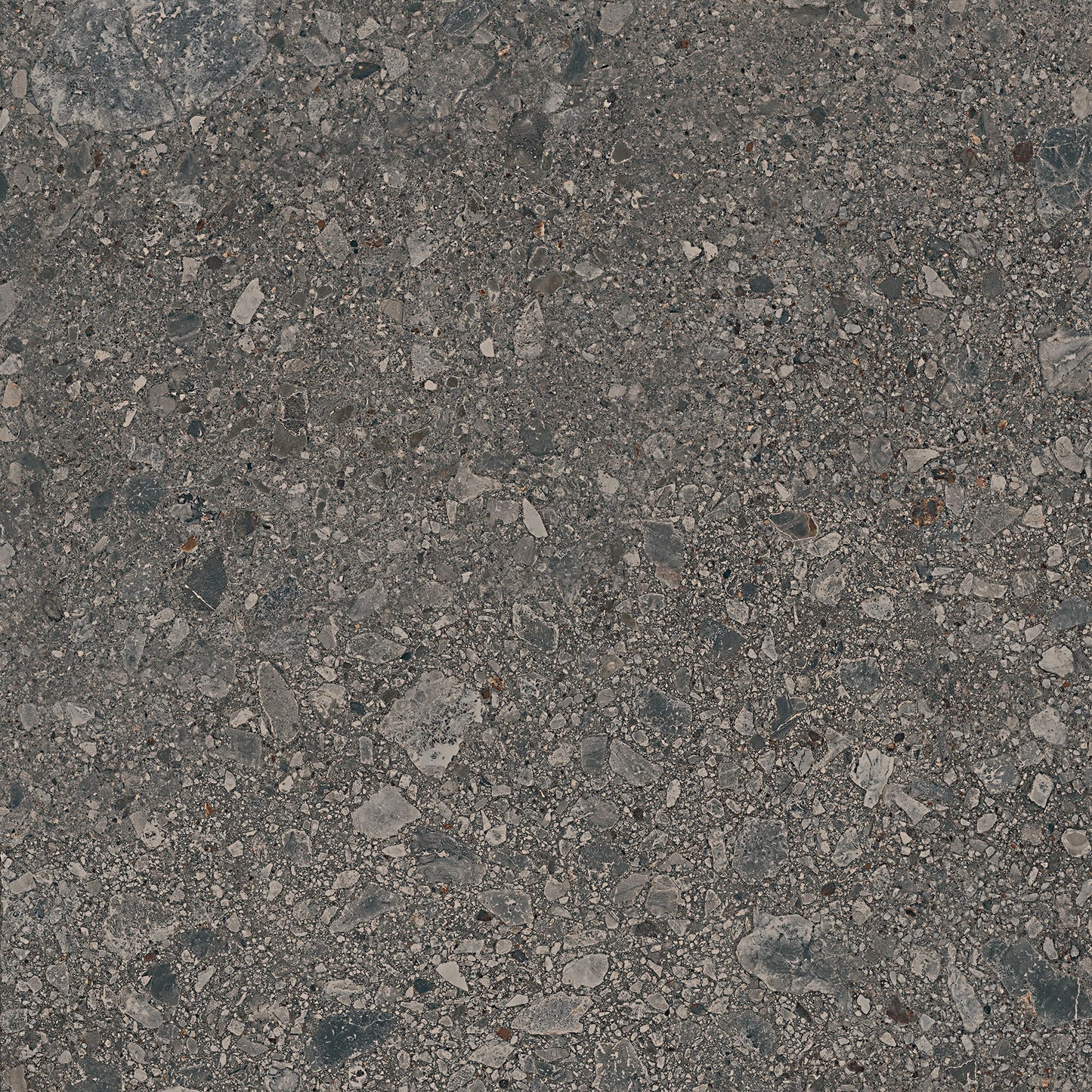 Assemble Emissary Rectangle 12X24 Matte