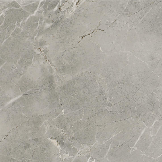 Platinum Dove Square 12X12 Matte