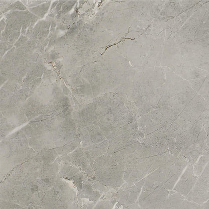 Platinum Dove Square 12X12 Matte