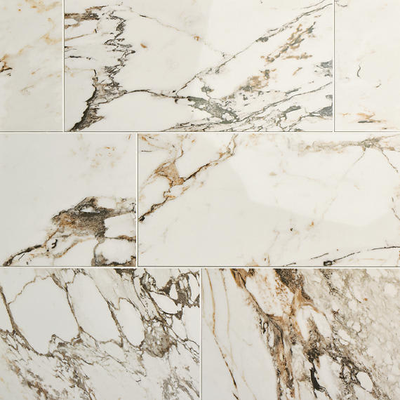 Panoramic Duet Calacatta Aries Square 48X48 Matte