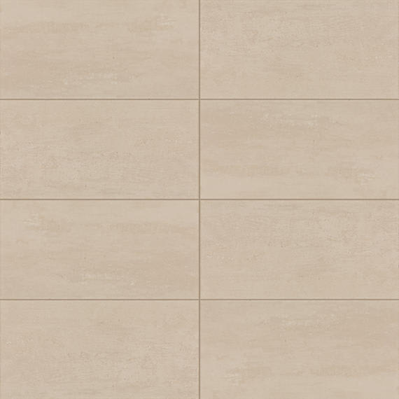 Theoretical Evolved Balanced Beige Rectangle 12X24 Textured