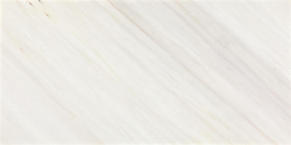 Eclessia Marble Pacifica Rectangle 12X24 Polished