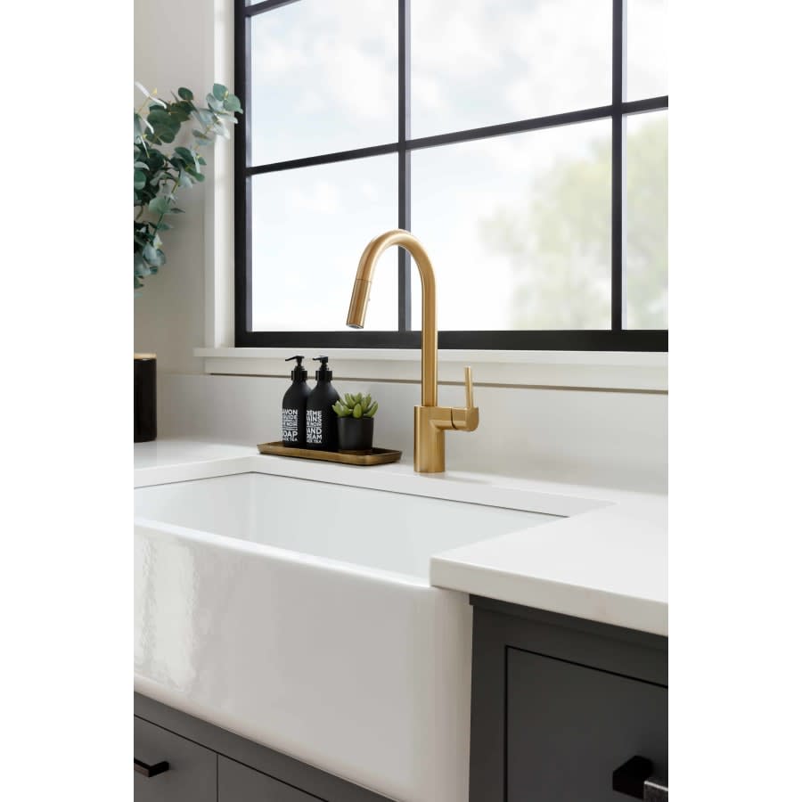 Align Pull-Down Spray Kitchen Faucet