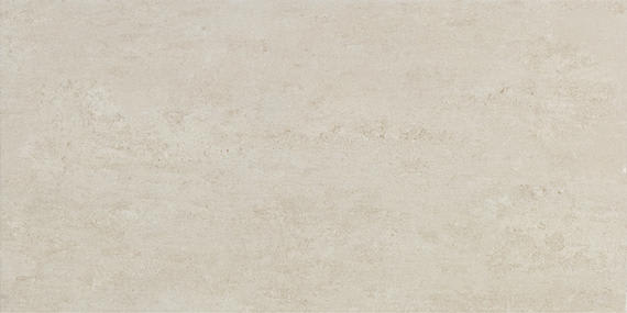 Theoretical Evolved Ritual Gray Rectangle 12X24 Textured