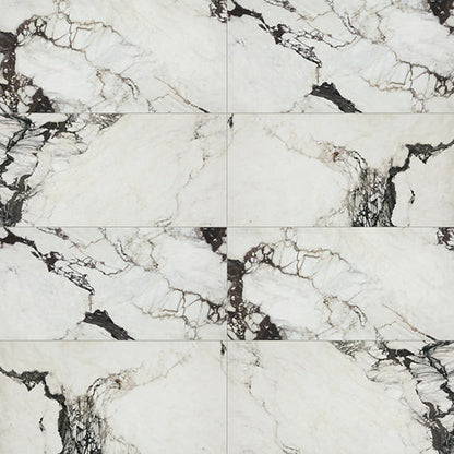 Savoir Noir Rectangle 12X24 Polished