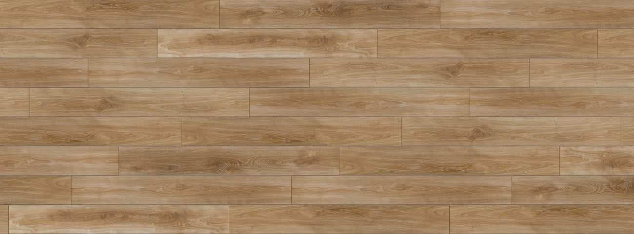 Silver Elm